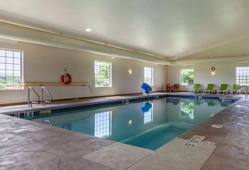 酒店 Comfort Suites Delavan Lake Geneva Area