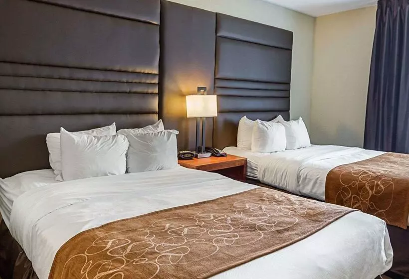 酒店 Comfort Suites Near Tanger Outlet Mall