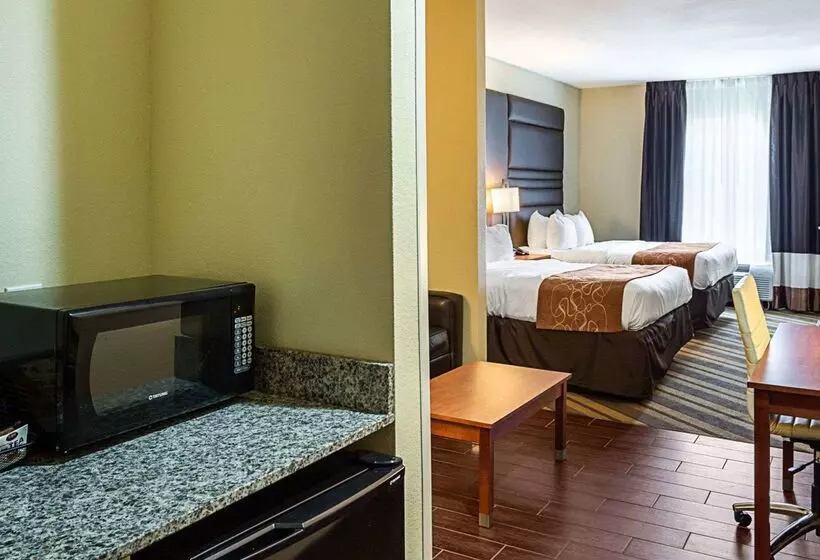 酒店 Comfort Suites Near Tanger Outlet Mall