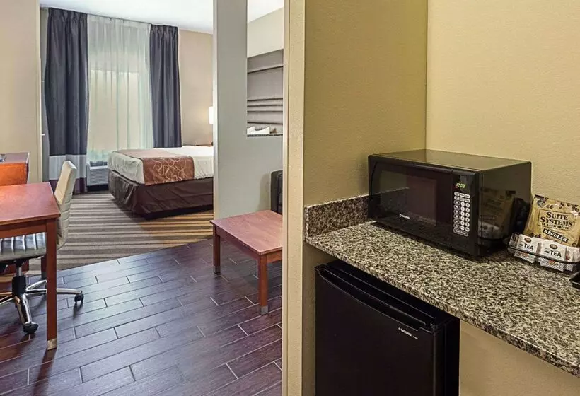 酒店 Comfort Suites Near Tanger Outlet Mall