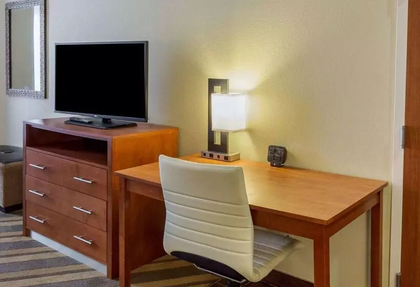 酒店 Comfort Suites Near Tanger Outlet Mall