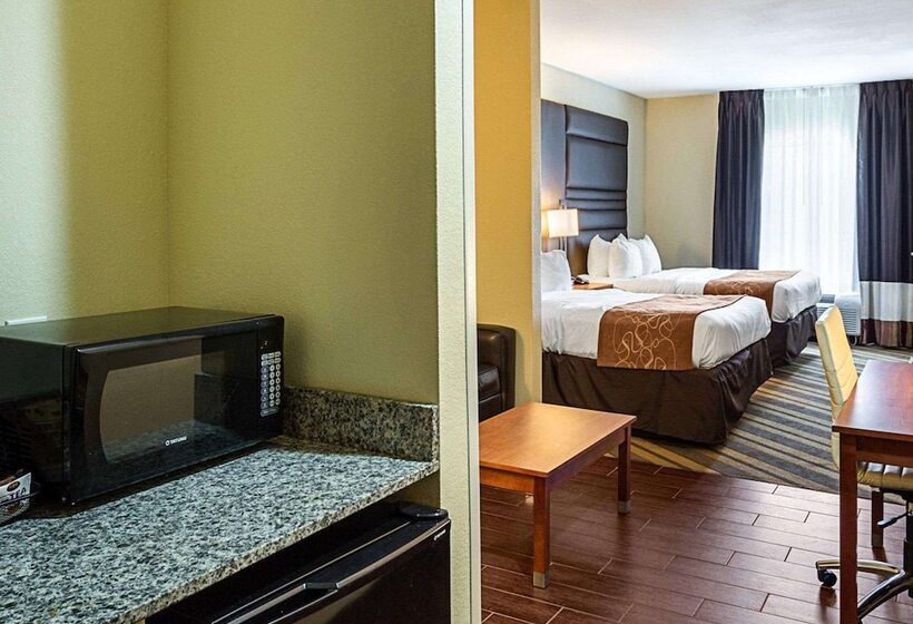 فندق Comfort Suites Near Tanger Outlet Mall