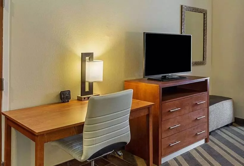 酒店 Comfort Suites Near Tanger Outlet Mall