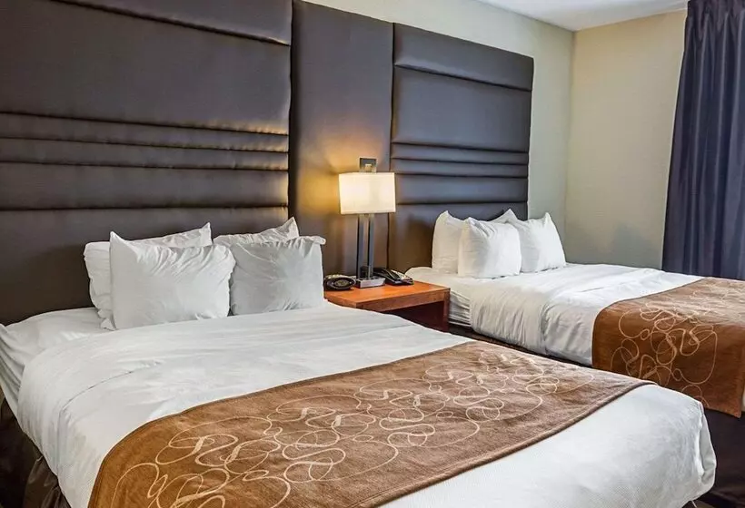 酒店 Comfort Suites Near Tanger Outlet Mall