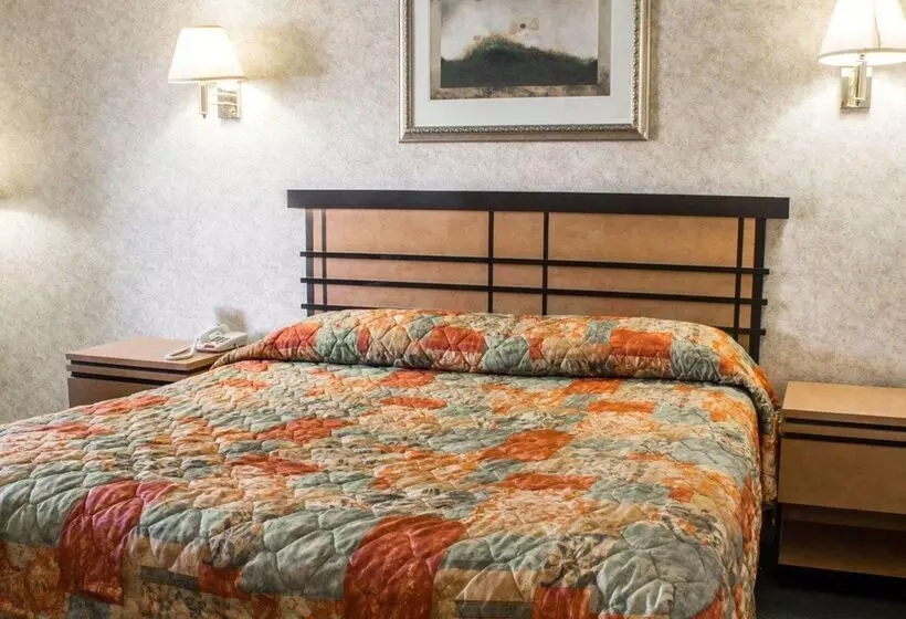 ホテル Econo Lodge Inn & Suites Colonie Center Mall