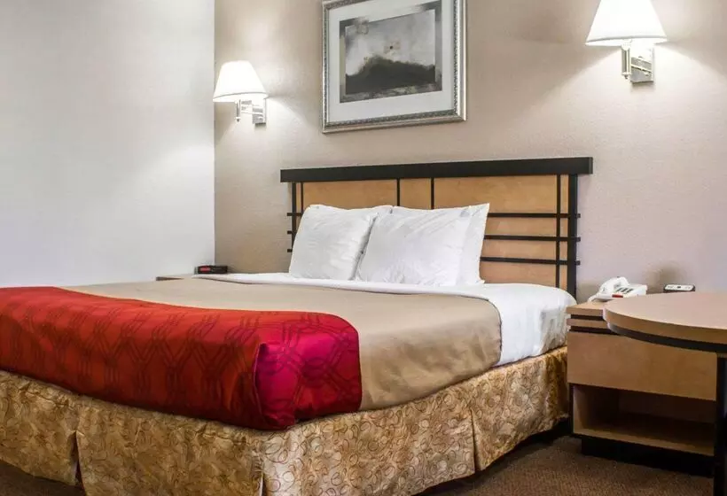 ホテル Econo Lodge Inn & Suites Colonie Center Mall