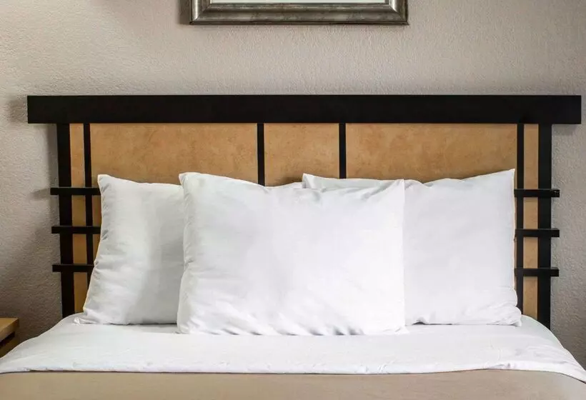 ホテル Econo Lodge Inn & Suites Colonie Center Mall