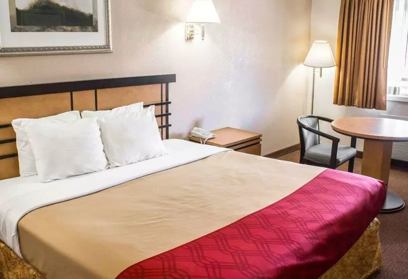 ホテル Econo Lodge Inn & Suites Colonie Center Mall