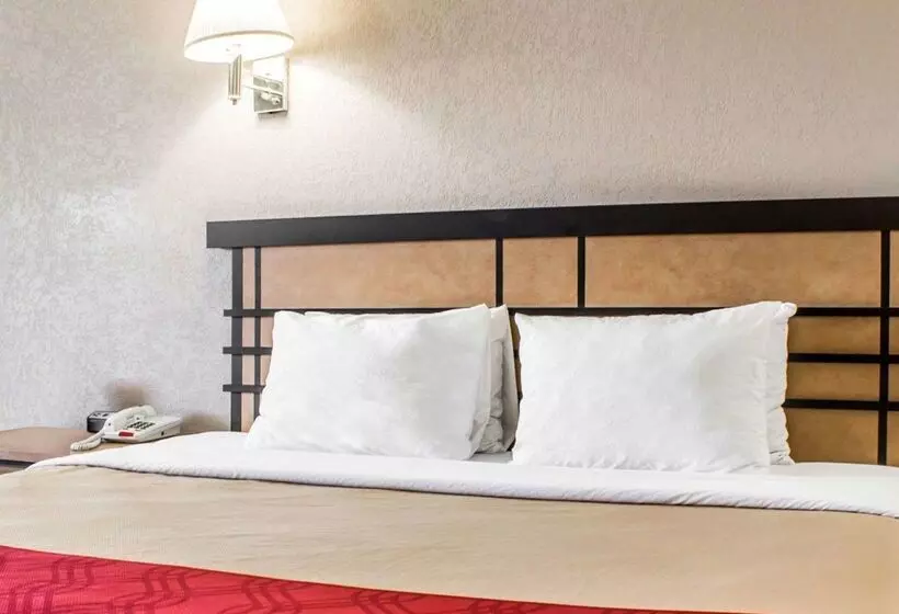 ホテル Econo Lodge Inn & Suites Colonie Center Mall