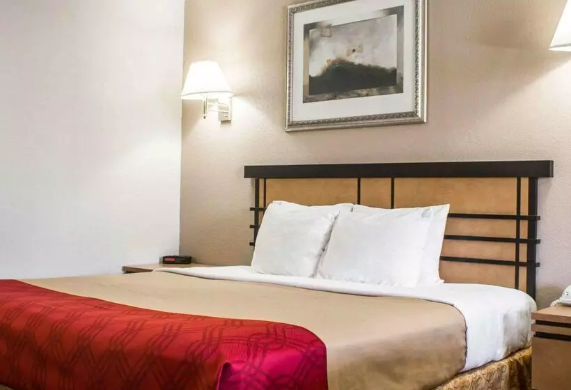 ホテル Econo Lodge Inn & Suites Colonie Center Mall