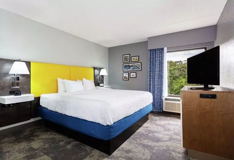 Отель Hampton Inn Amelia Island At Fernandina Beach