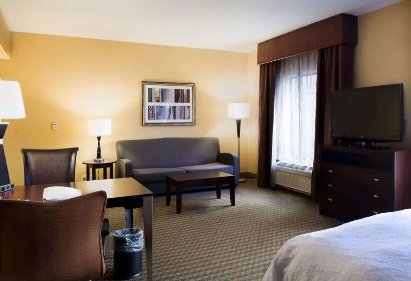 ホテル Hampton Inn & Suites Vineland