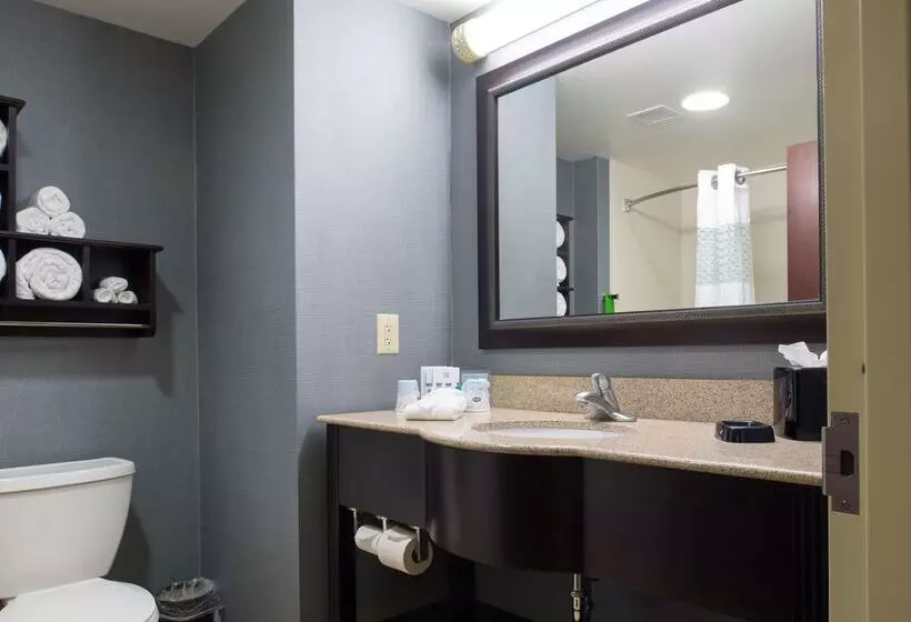 ホテル Hampton Inn & Suites Vineland