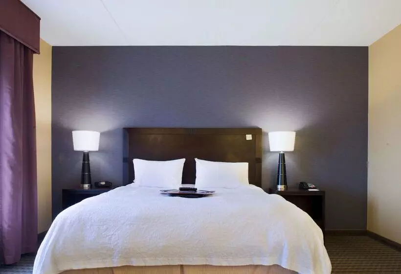 ホテル Hampton Inn & Suites Vineland