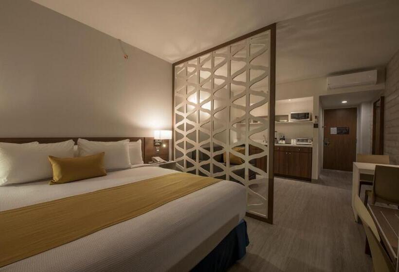 Microtel Inn & Suites By Wyndham Guadalajara Sur