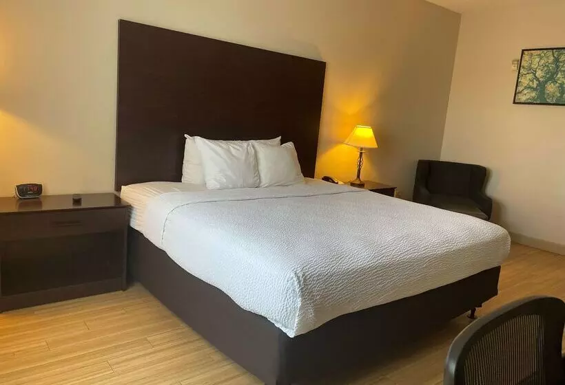 ホテル Best Western I 5 Inn & Suites