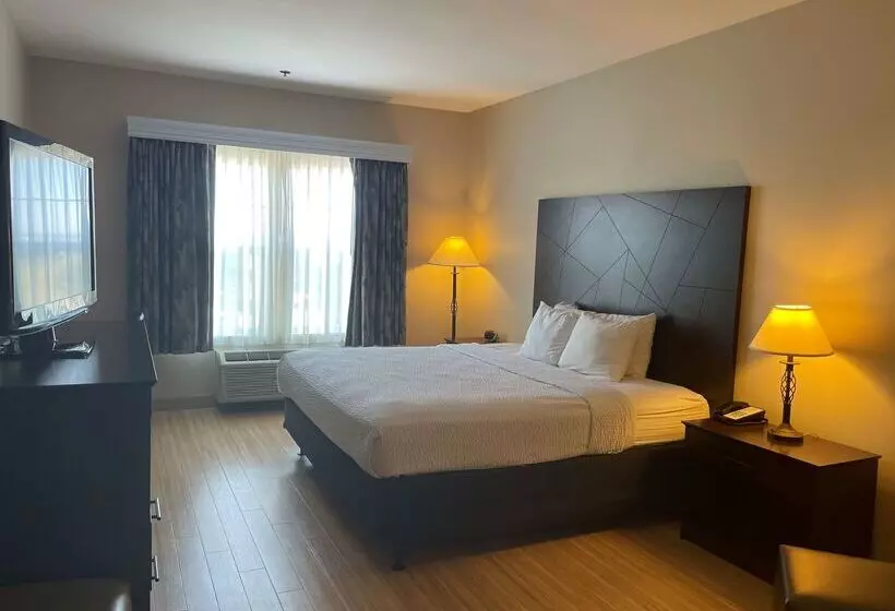 ホテル Best Western I 5 Inn & Suites