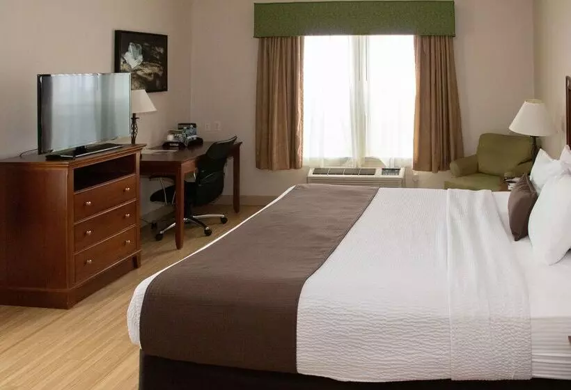 ホテル Best Western I 5 Inn & Suites