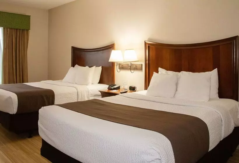 ホテル Best Western I 5 Inn & Suites