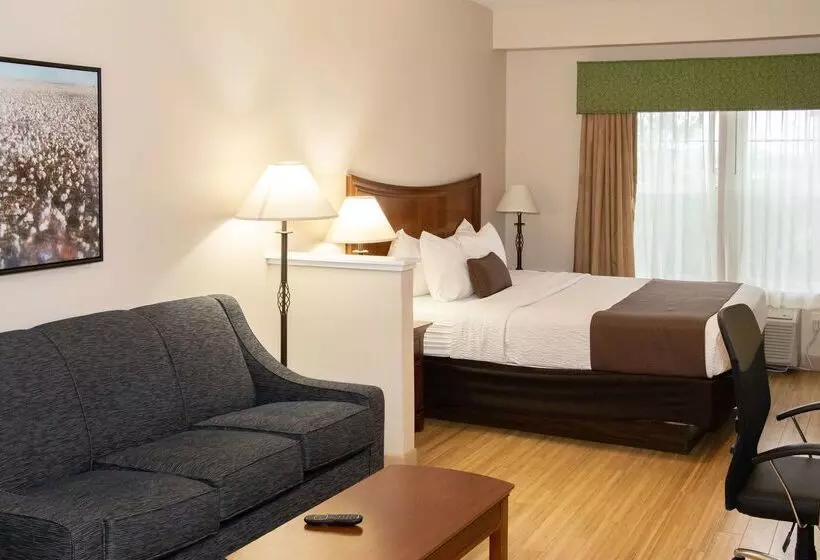 ホテル Best Western I 5 Inn & Suites