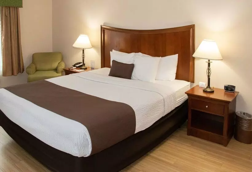 ホテル Best Western I 5 Inn & Suites