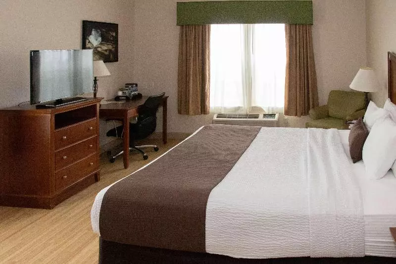 ホテル Best Western I 5 Inn & Suites