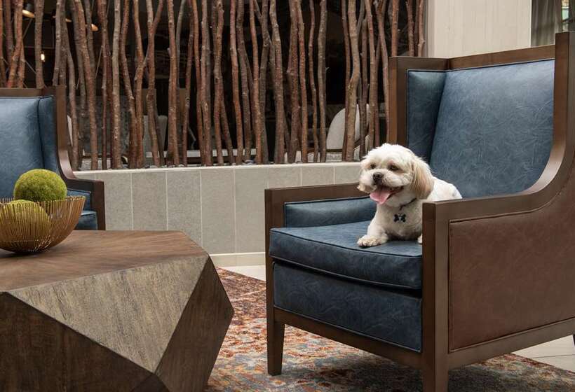 בית מלון כפרי Embassy Suites Springfield