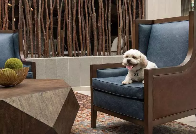 ホテル Embassy Suites Springfield