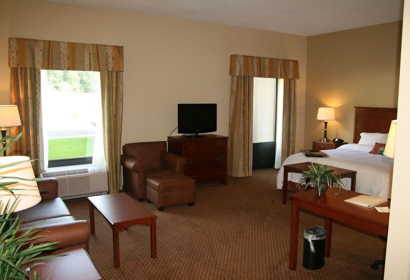 Отель Hampton Inn & Suites Warren