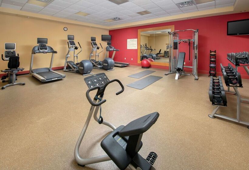 فندق Hilton Garden Inn Odessa