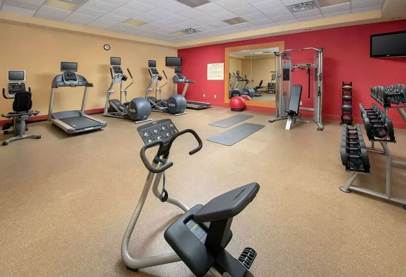 فندق Hilton Garden Inn Odessa