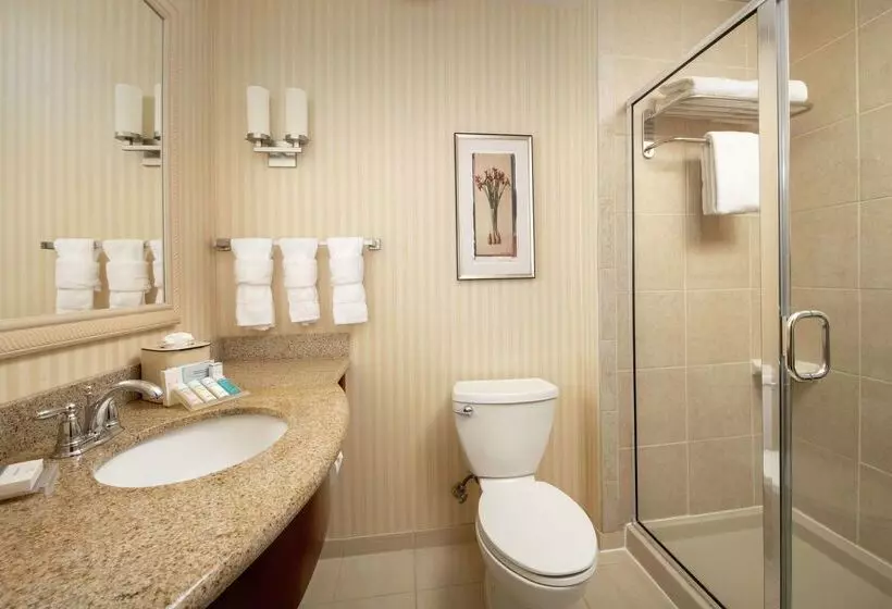 فندق Hilton Garden Inn Odessa