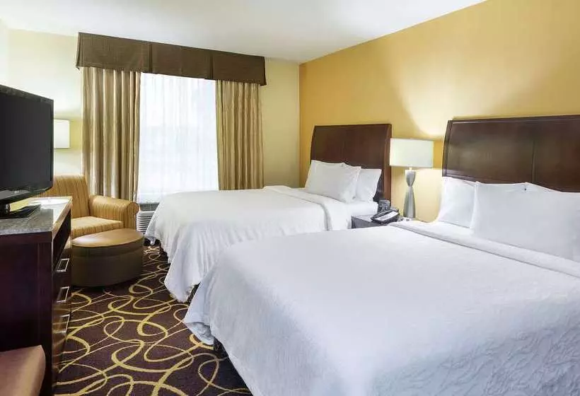 酒店 Hilton Garden Inn Bossier City, La