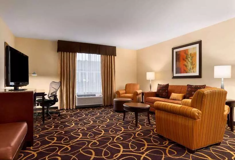酒店 Hilton Garden Inn Bossier City, La