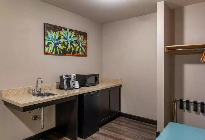 酒店 Holiday Inn Express & Suites Indio Coachella Valley, An Ihg