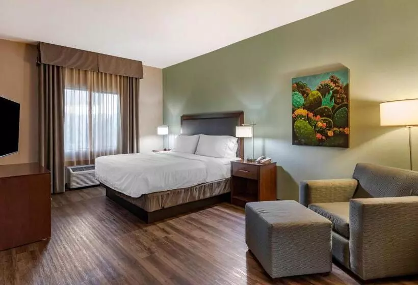 酒店 Holiday Inn Express & Suites Indio Coachella Valley, An Ihg