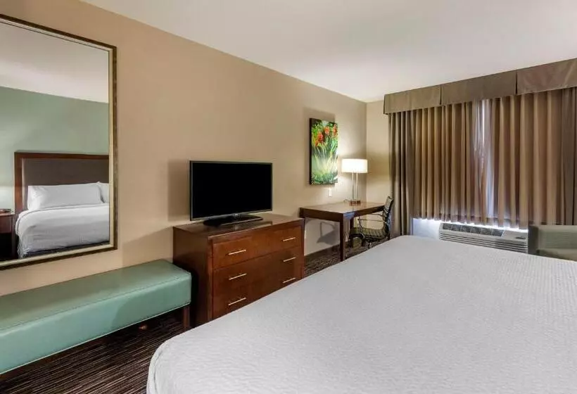 酒店 Holiday Inn Express & Suites Indio Coachella Valley, An Ihg