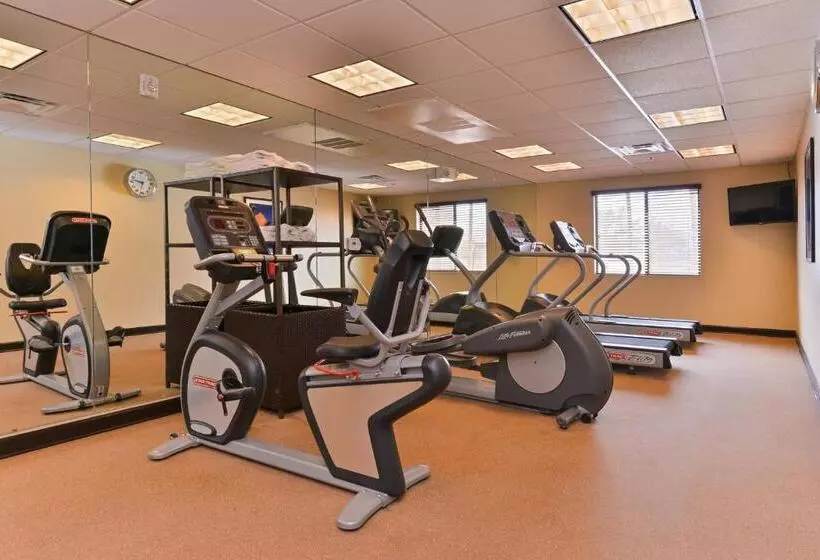 酒店 Holiday Inn Express & Suites Indio Coachella Valley, An Ihg