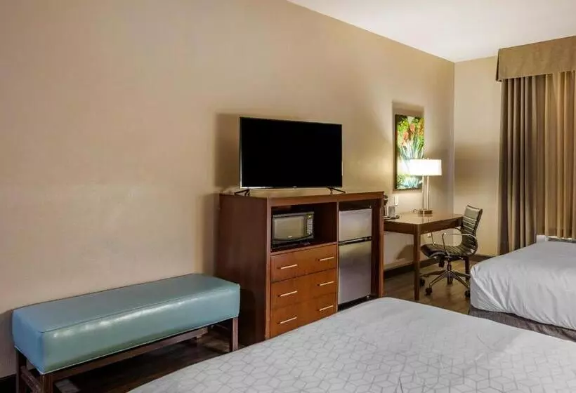 酒店 Holiday Inn Express & Suites Indio Coachella Valley, An Ihg
