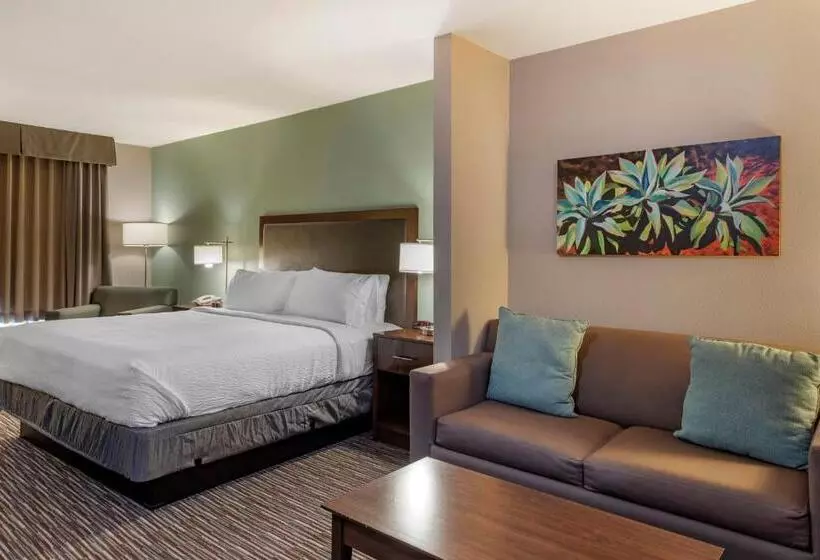 酒店 Holiday Inn Express & Suites Indio Coachella Valley, An Ihg