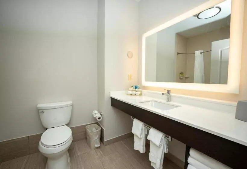 호텔 Holiday Inn Express & Suites Deer Park, An Ihg