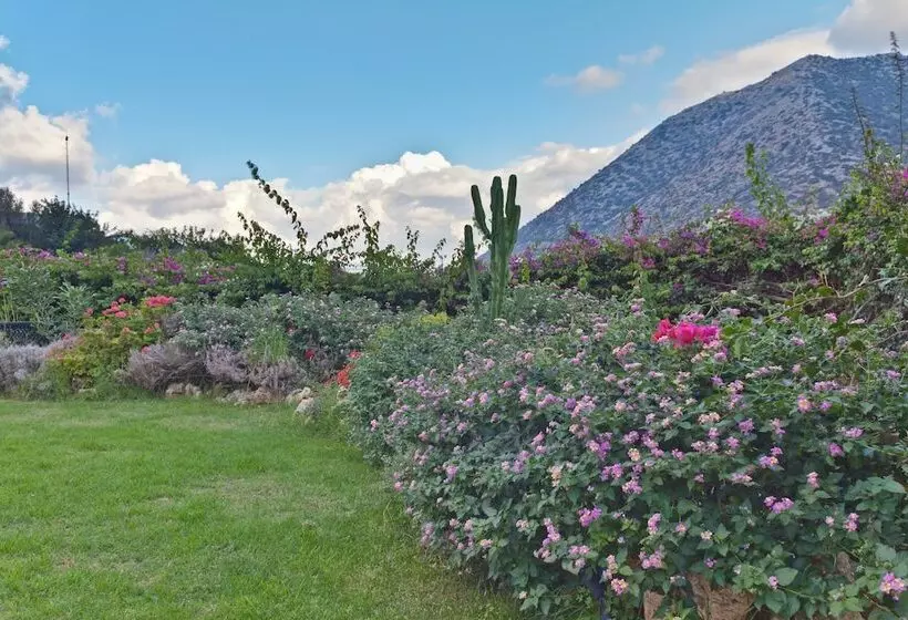 ホテル Mitsis Bali Paradise