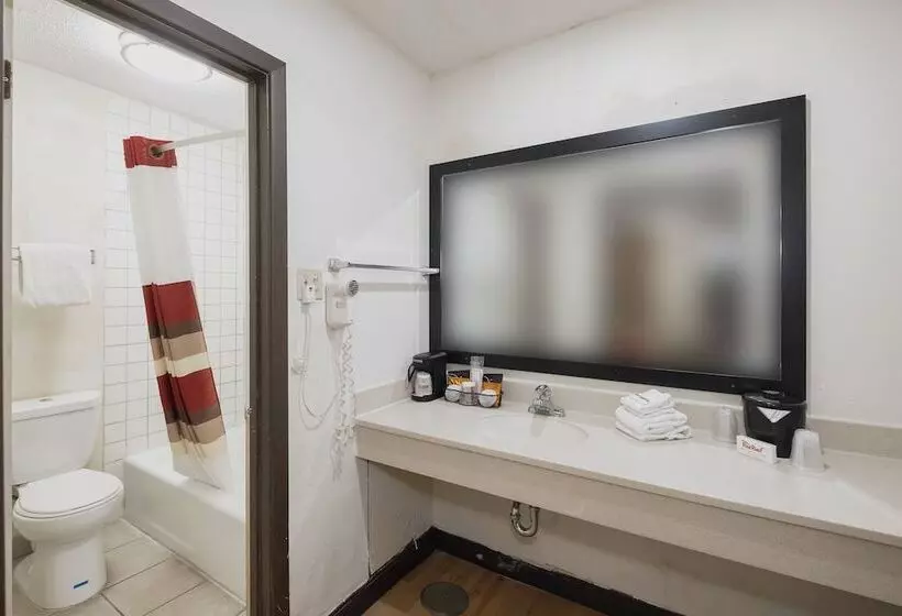 酒店 Red Roof Inn Morgan City