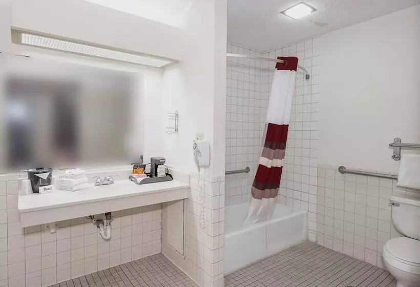 酒店 Red Roof Inn Morgan City