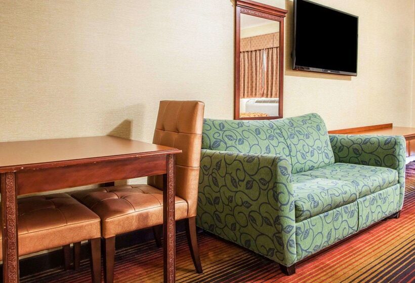 فندق Rodeway Inn