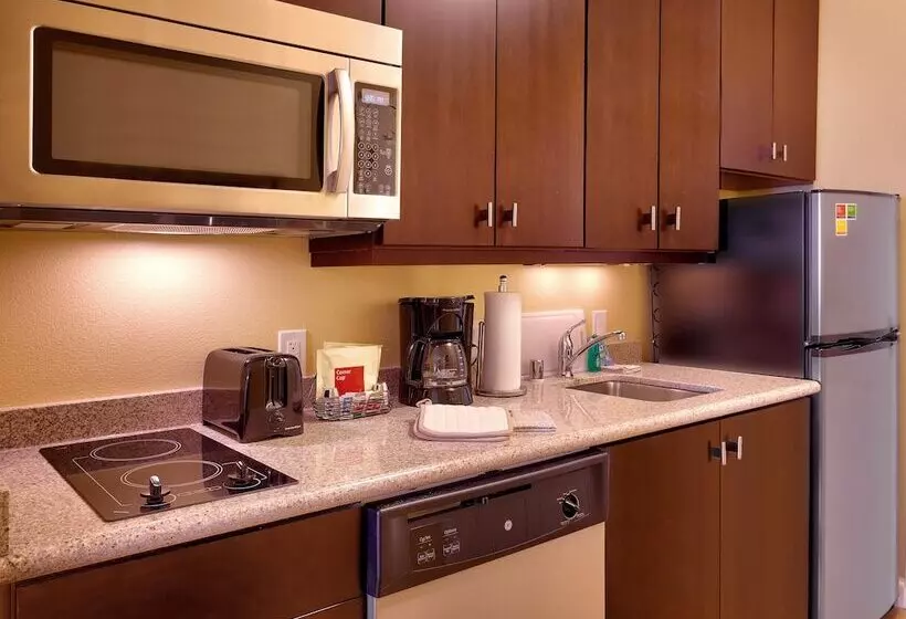 Hotel Towneplace By Marriott Suites Elko