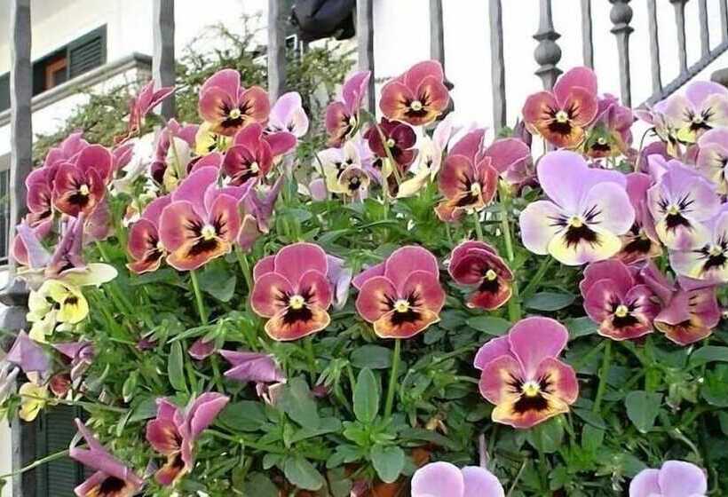 Bed and Breakfast Certe Notti Pompei