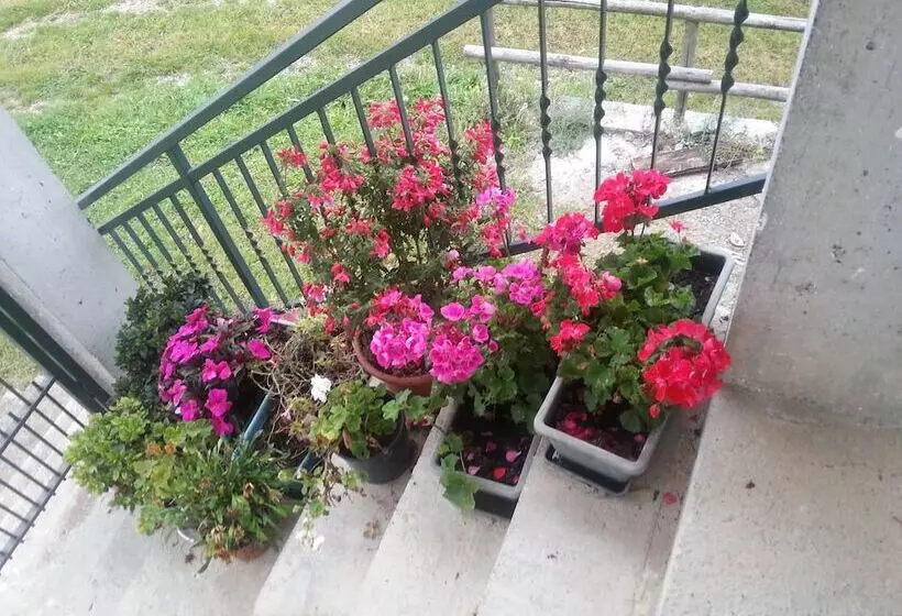 تختخواب و صبحانه La Casa Inglese