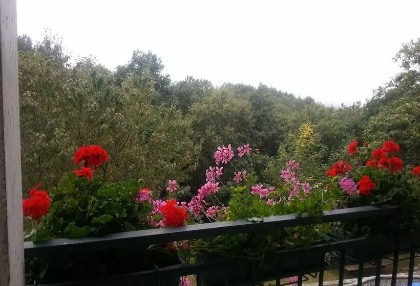 تختخواب و صبحانه La Casa Inglese