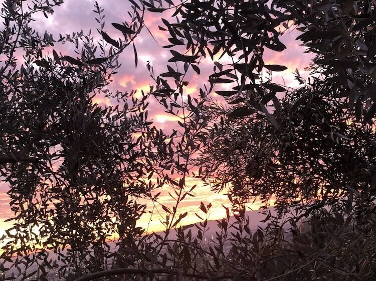 فندق Agriturismo Poggio Alla Pieve